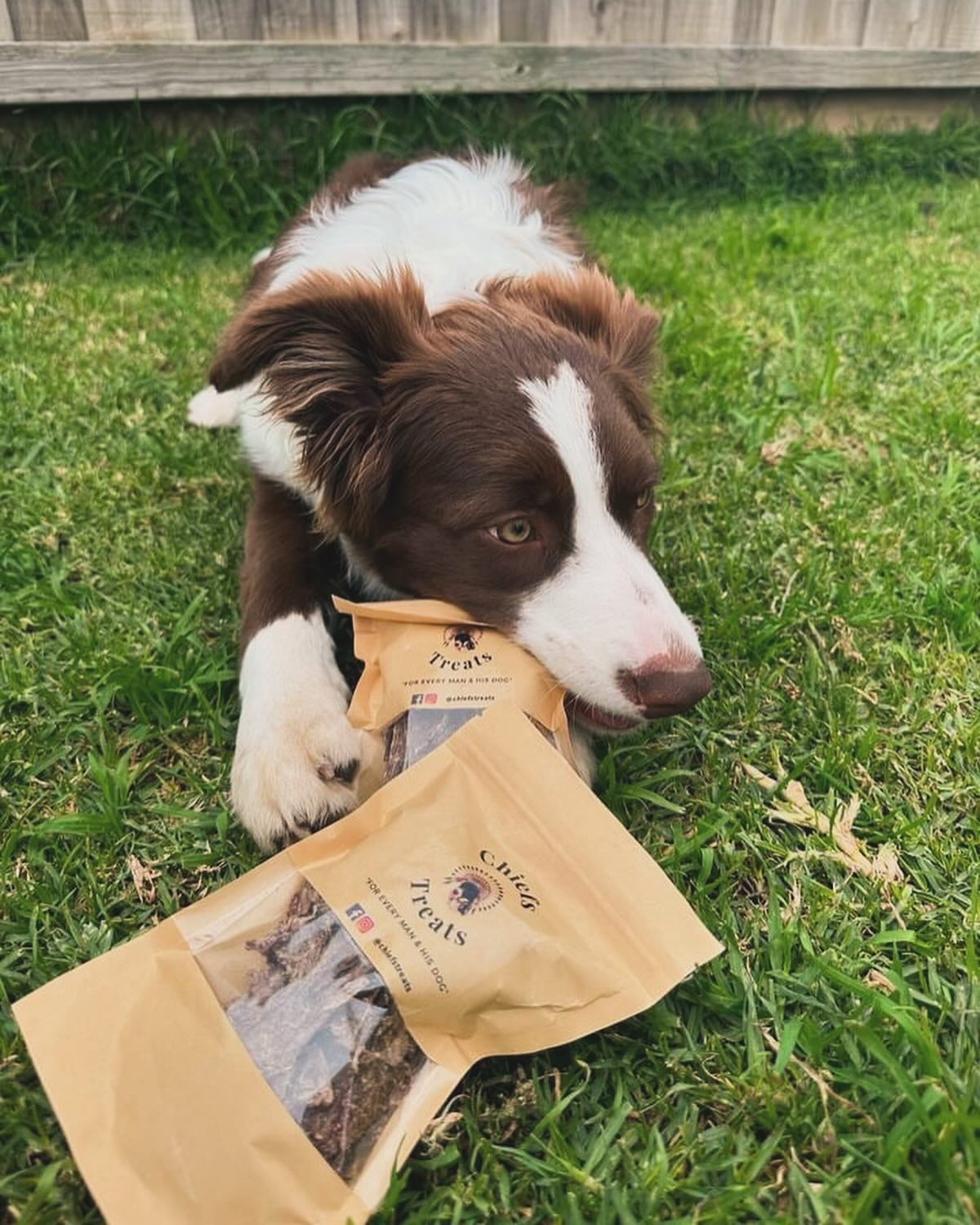Beef pet treats