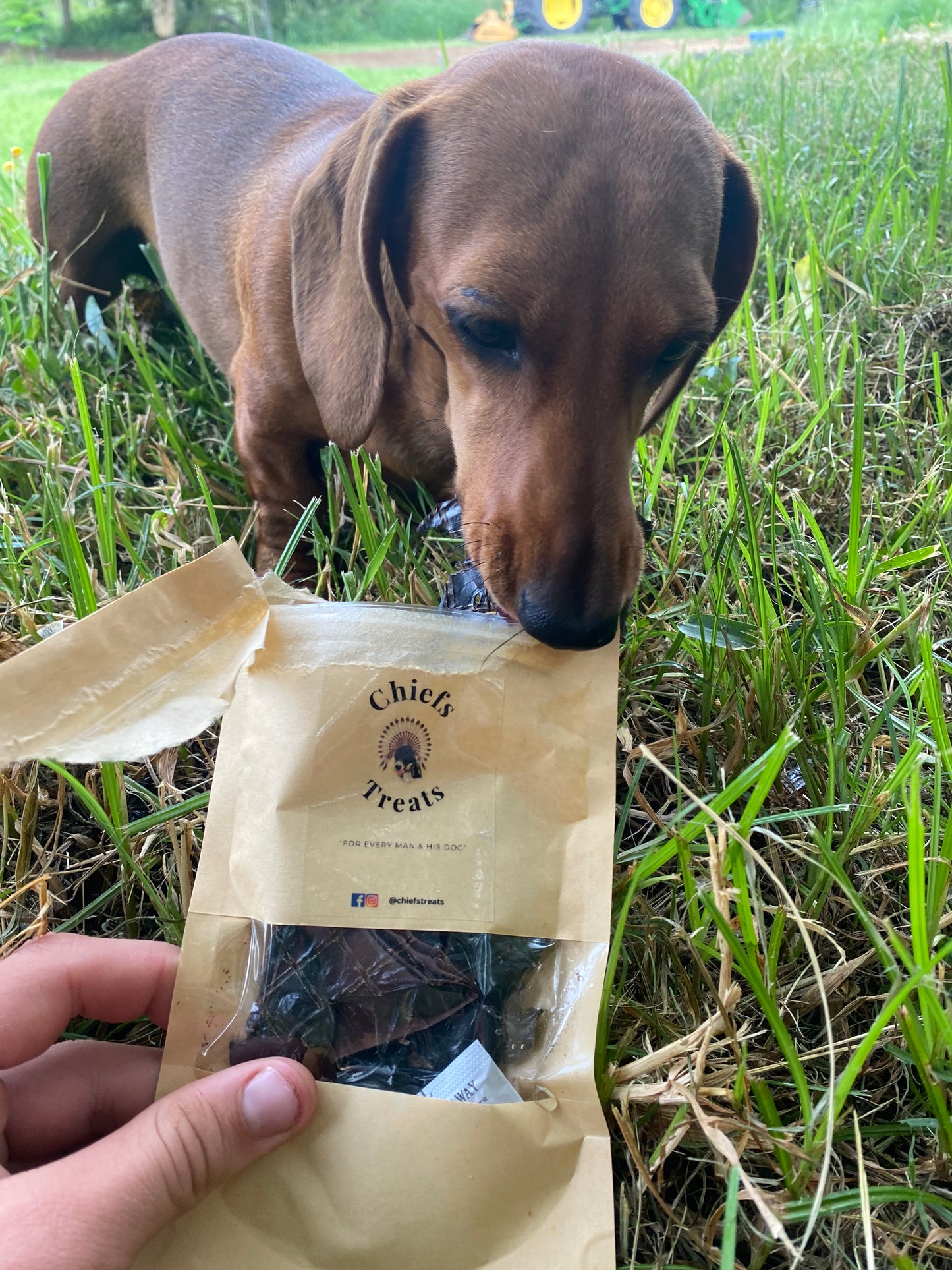 Beef pet treats