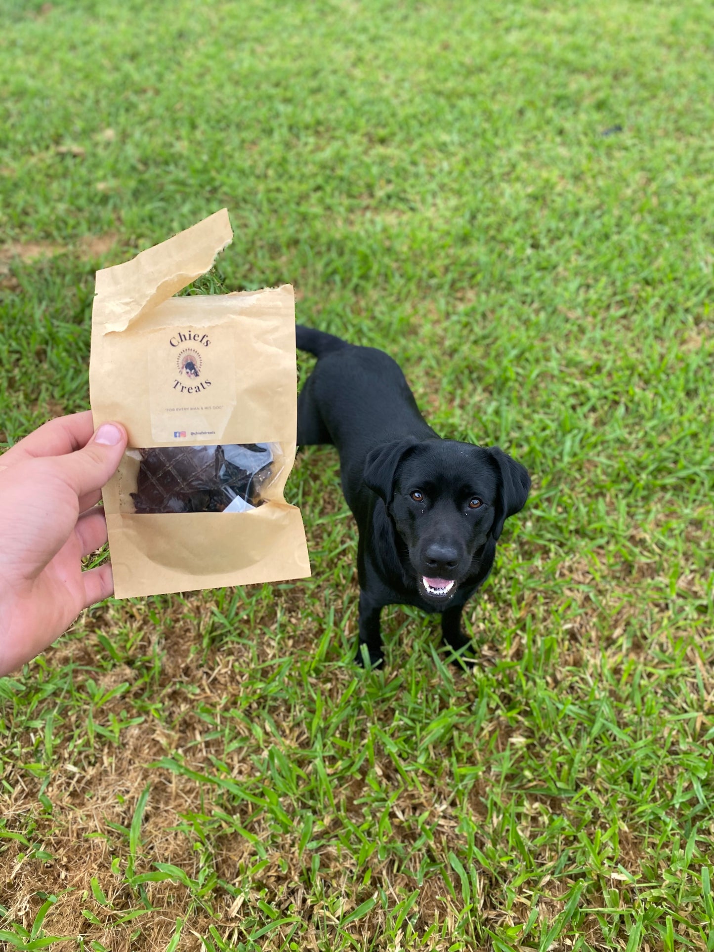 Beef pet treats