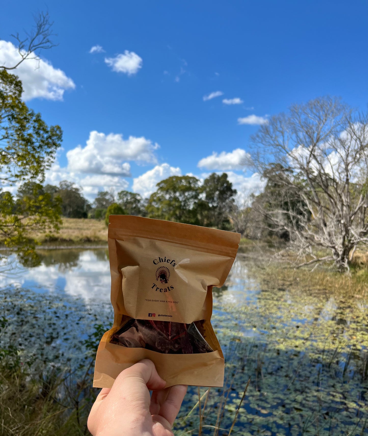 Venison pet treats