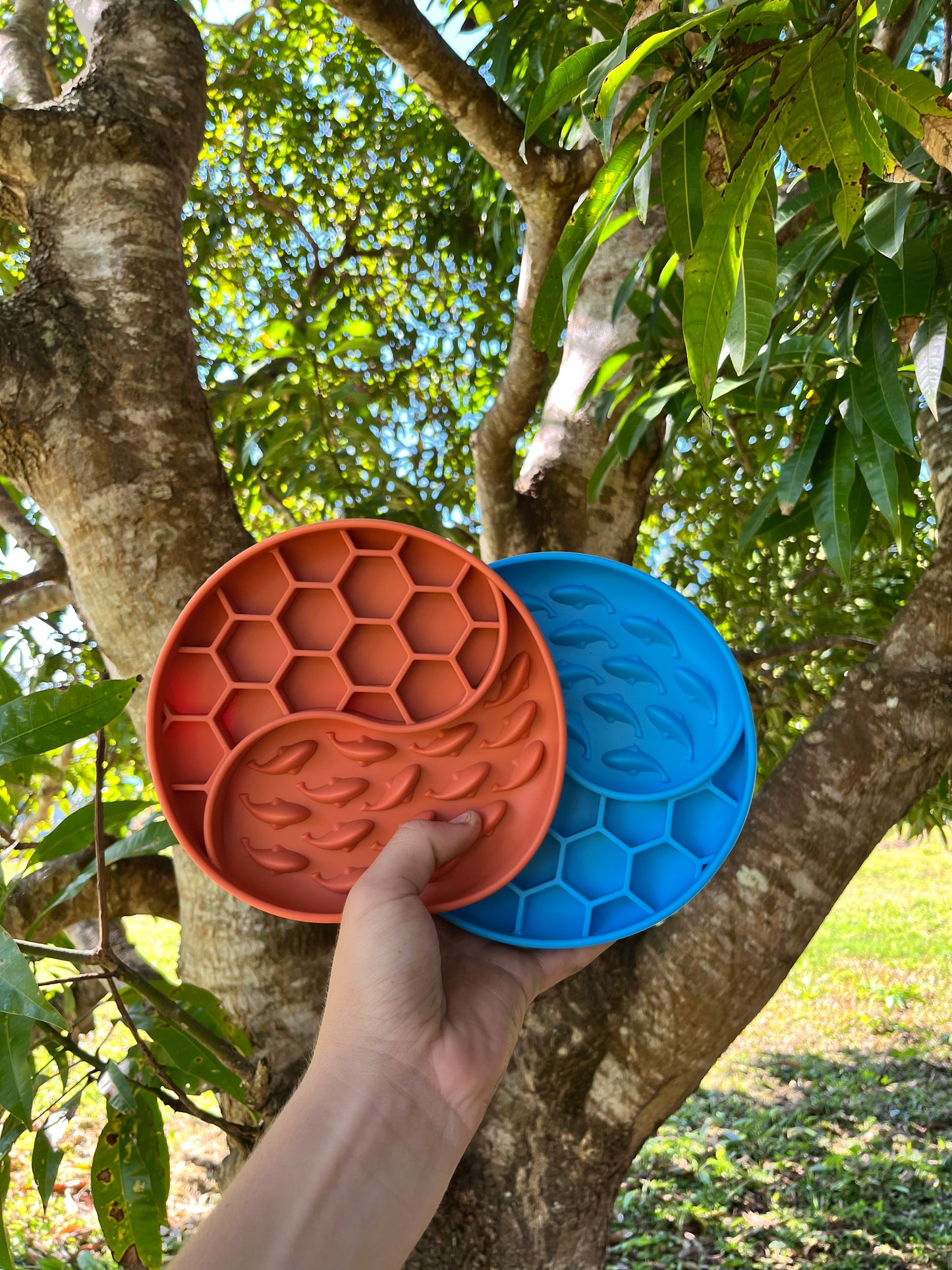 Slow Feeder tray for dogs