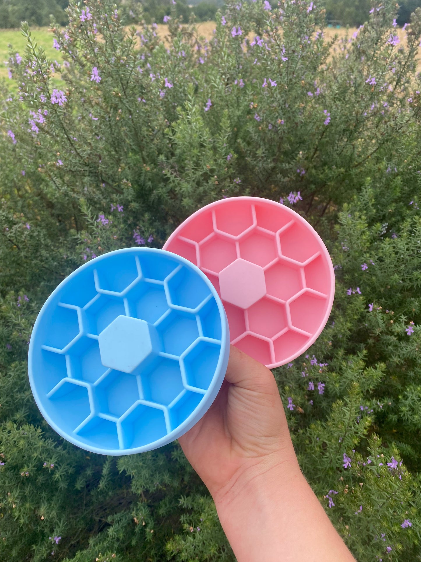 Small slow feeding trays