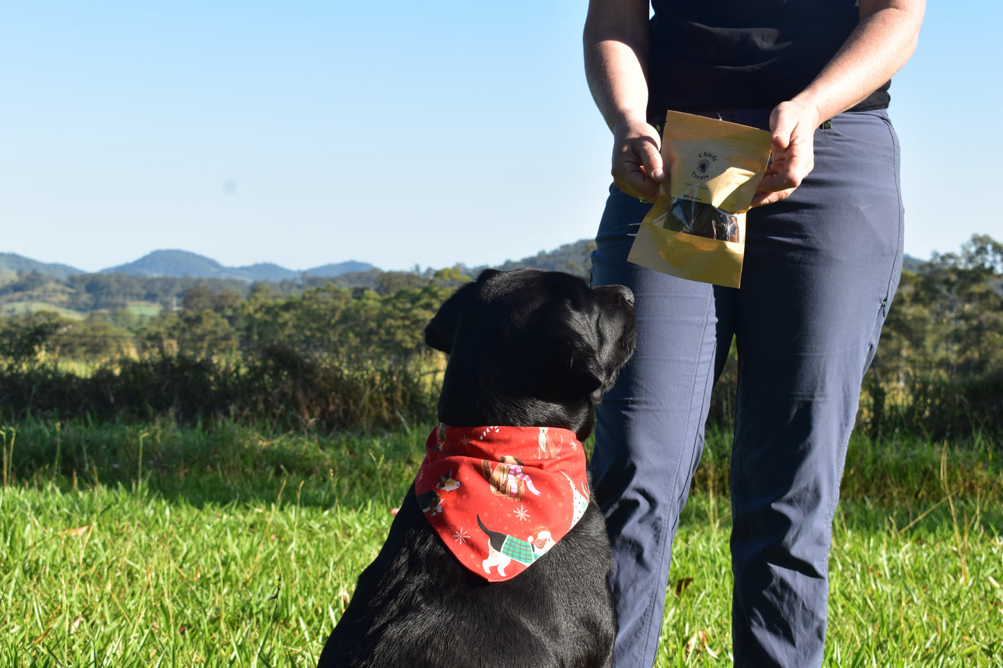 Christmas fashion bundle