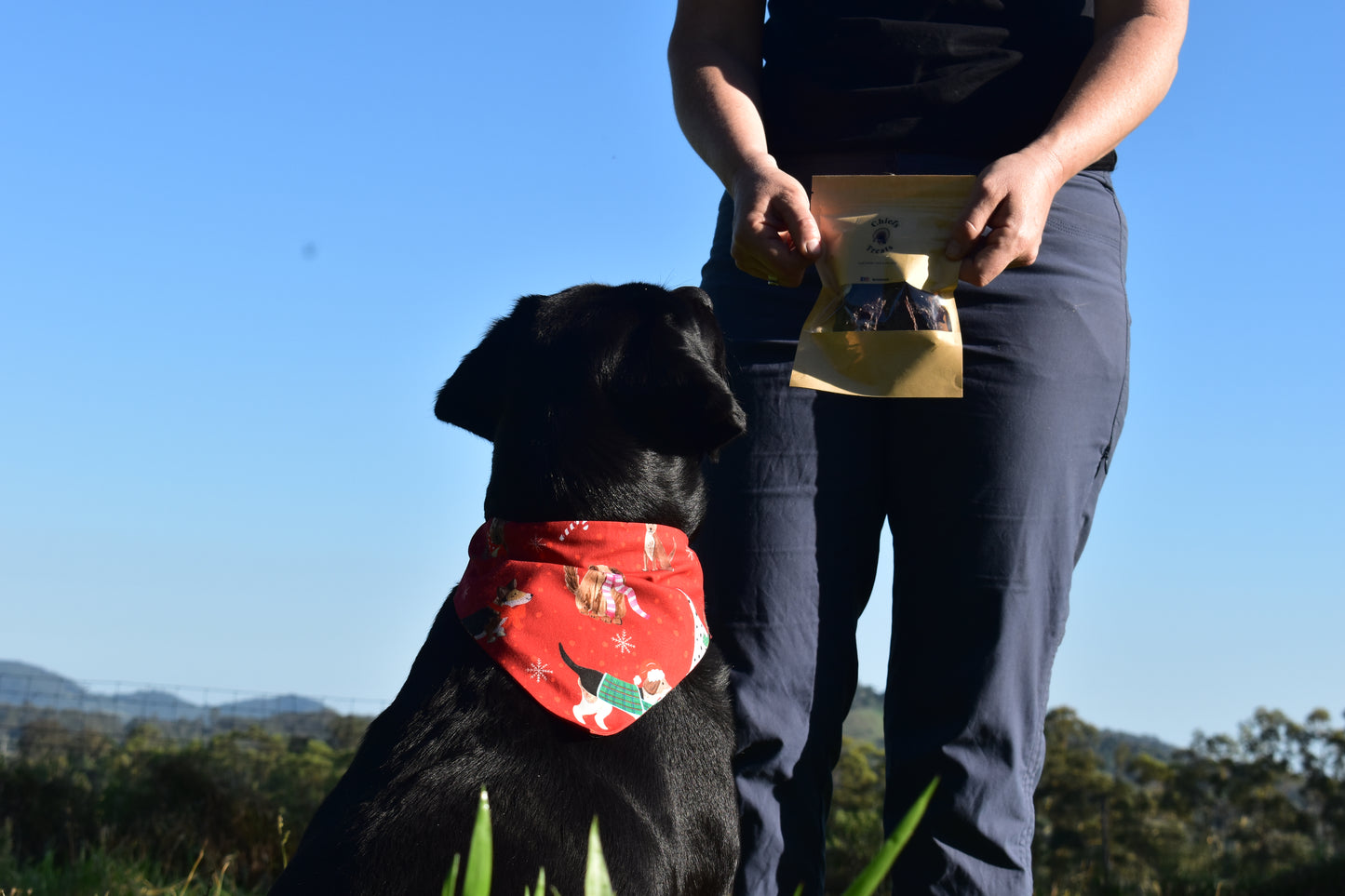 Christmas fashion bundle