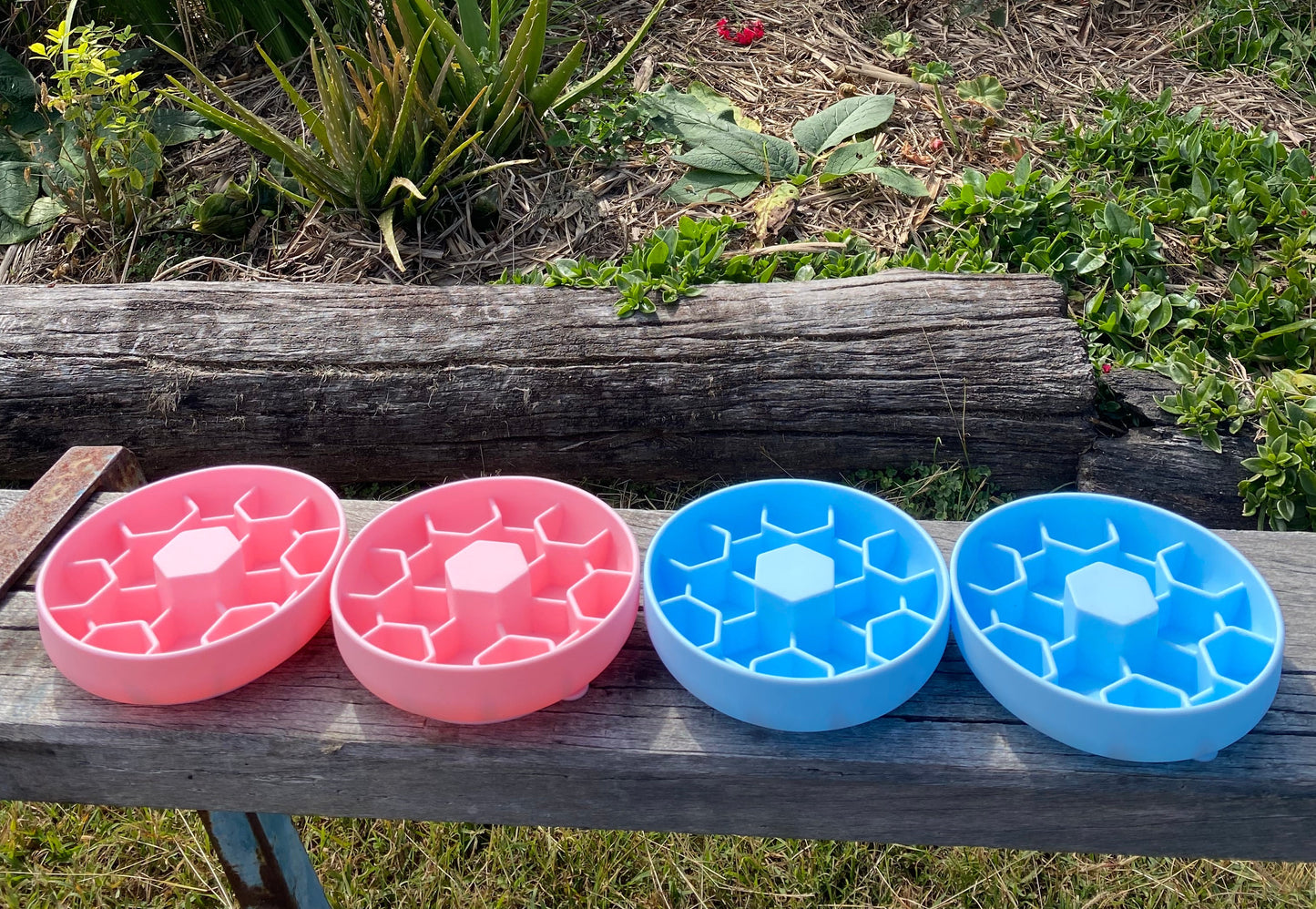 Small slow feeding trays