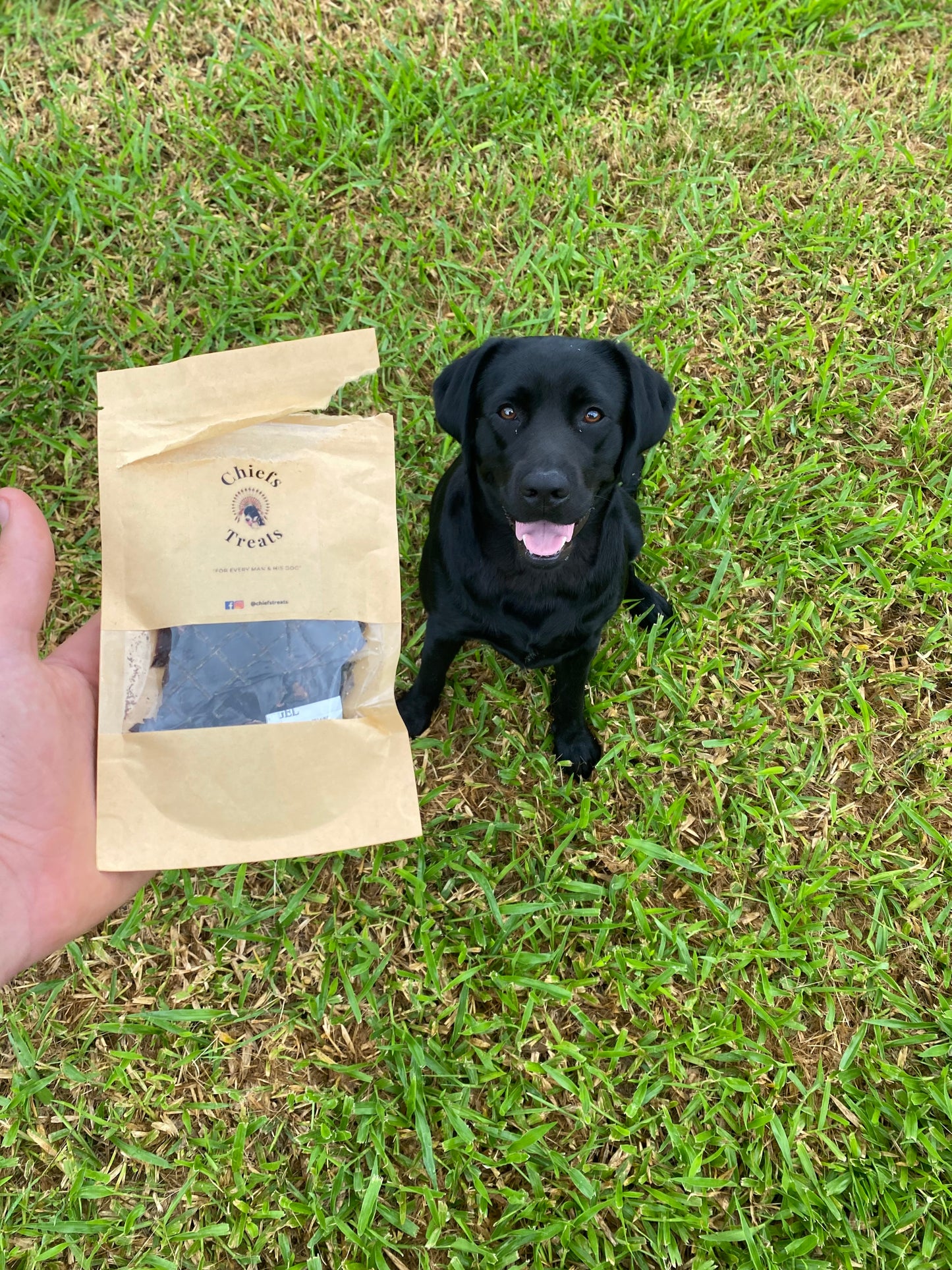 Beef pet treats