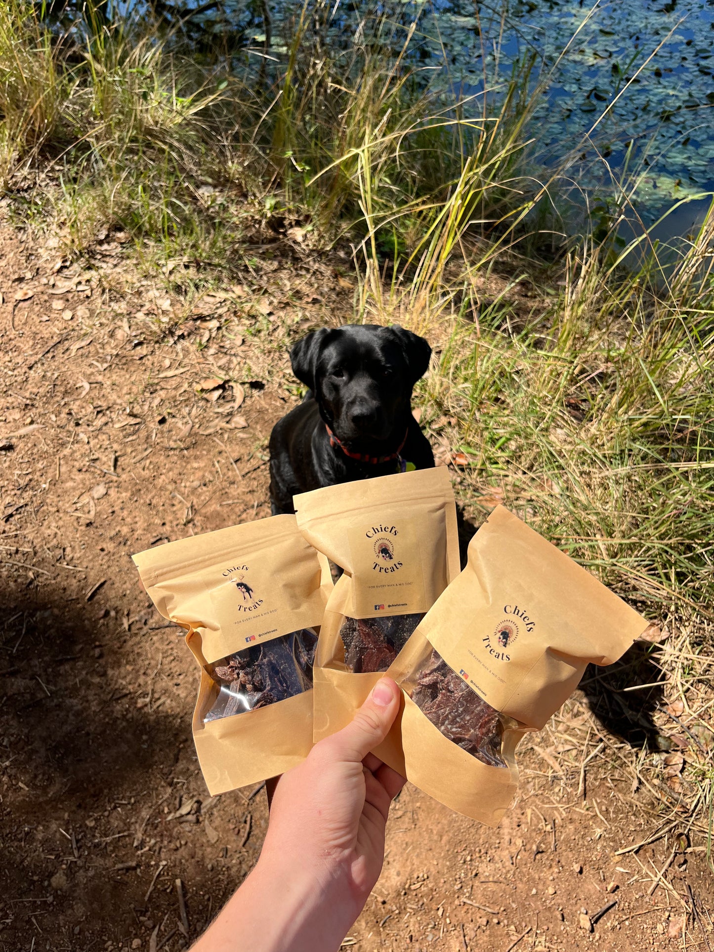 The 50g variety Pack