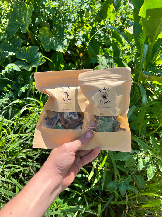 Christmas fashion bundle