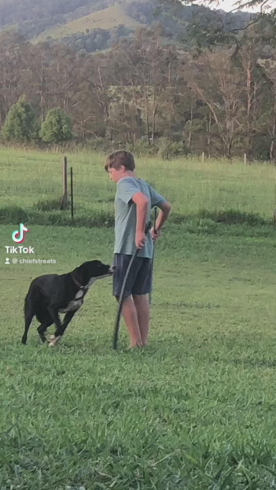 Load video: 